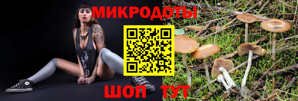 Озёрск  Псилоцибиновые грибы Psilocybine cubensis  Вход с VPN 