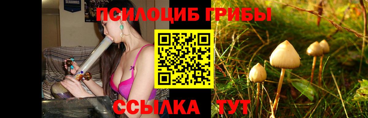 Галлюциногенные грибы ЛСД Озёрск
